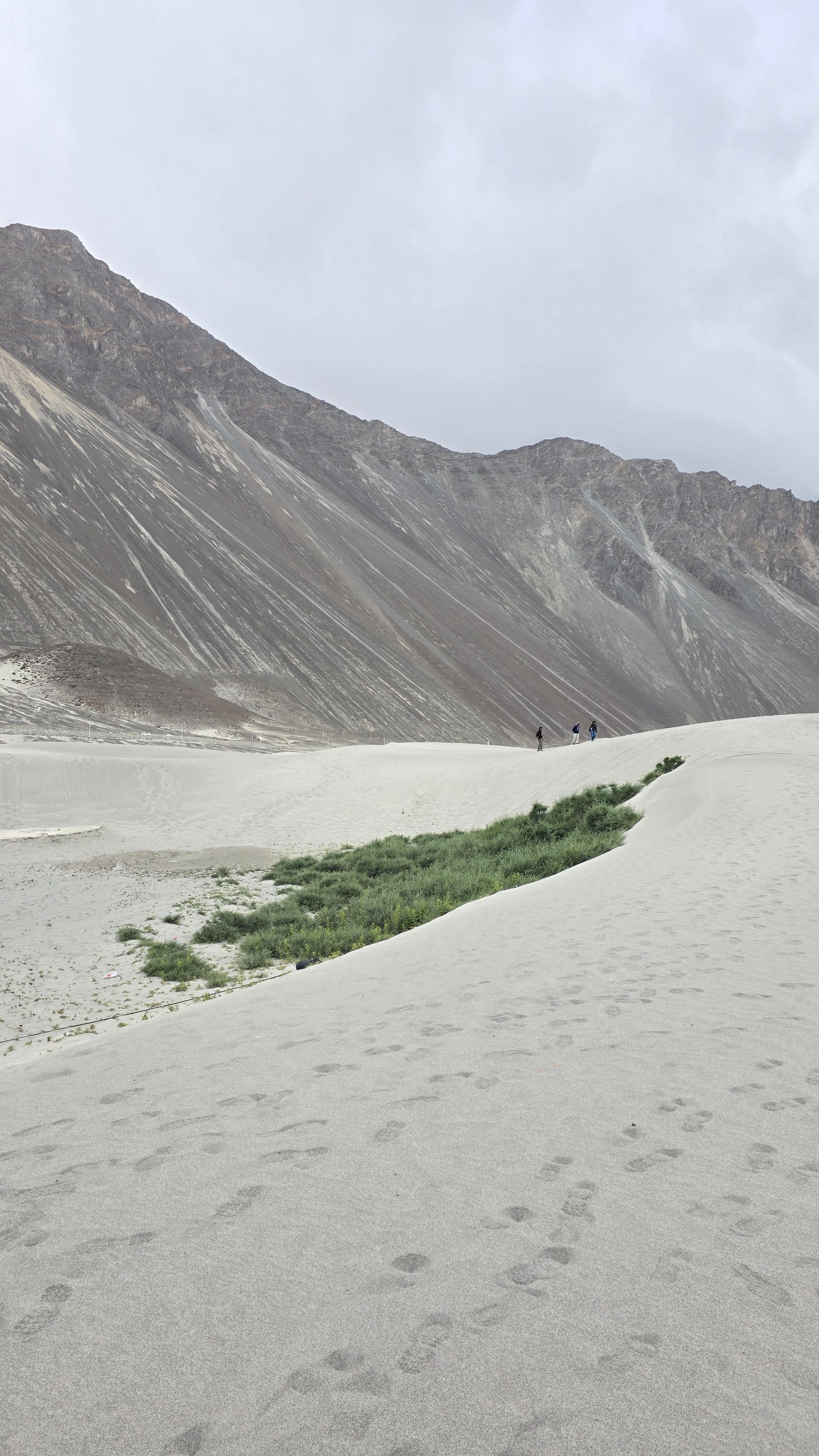 Sand dunes at the foot of mountains in Nubra