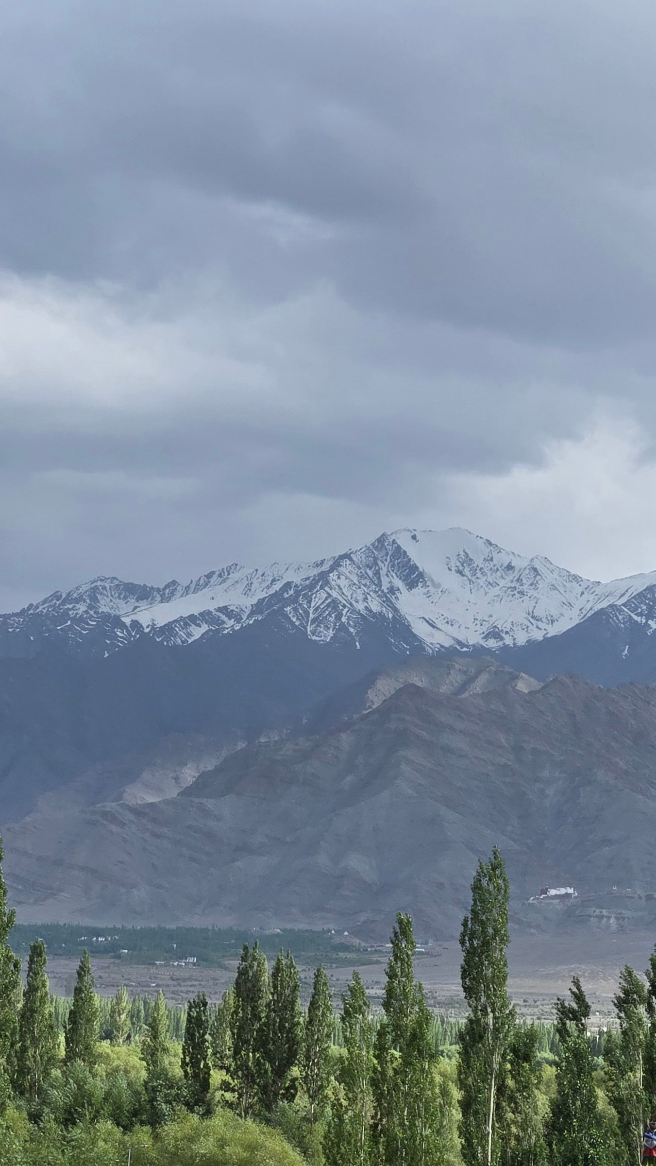 Green Nubra valley with poplars and snow peaks under cloud