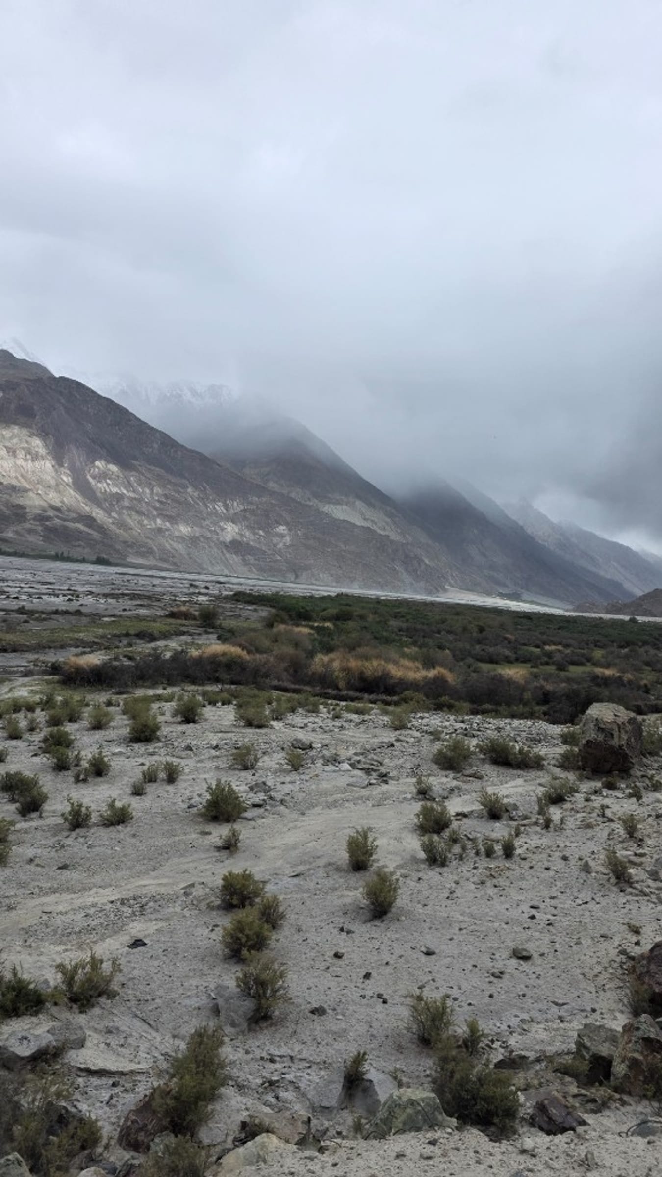 Shrubs and mountain slopes across the Nubra Valley floor