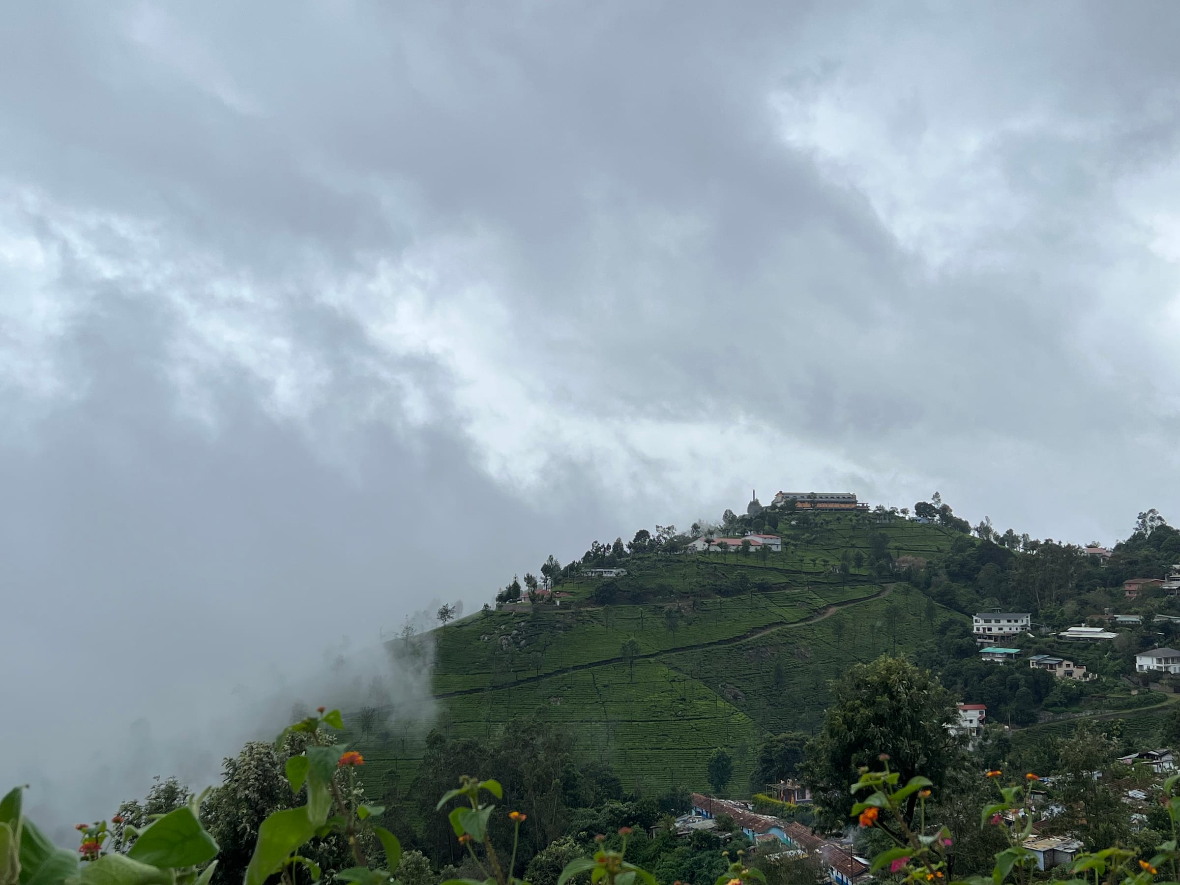 Ooty